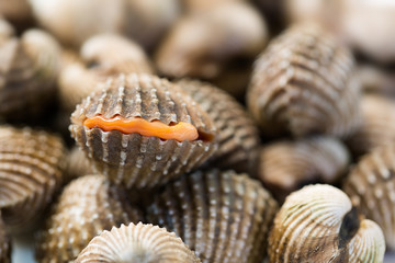 Cockles sea animal for delicious seafood in the dish / Blurred and Selective focus