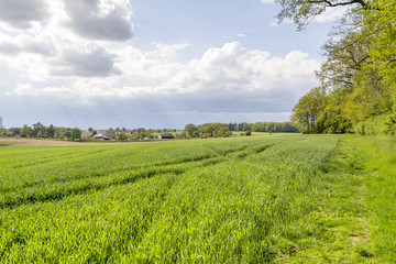 rural springtime scenery