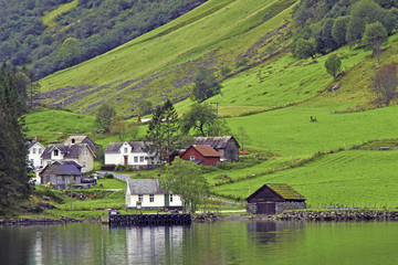 Fototapeta na wymiar Quaint homes of small village on shore of Sognefjord fjord, near Bergen, Norway