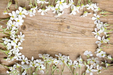 white flowers frame on brown wooden background, copy space
