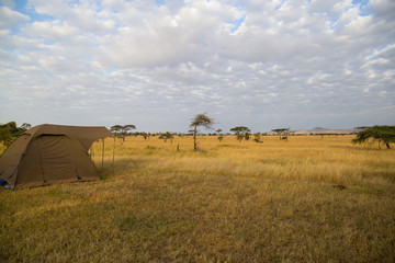 Camping in Serengeti