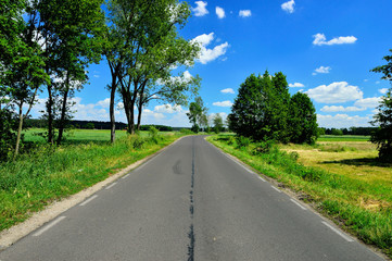 Fototapeta na wymiar Droga asfaltowa wśród drzew i traw.