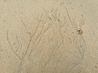 Patterns textured background of lines sand on the beach.