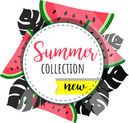 Eucalyptus branches seamless pattern. Hand drawn vector illustration. Nature background. Wrapping paper design.