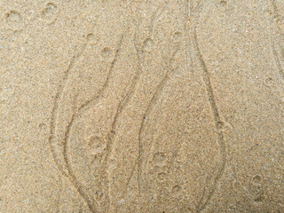 Patterns textured background of lines sand on the beach.