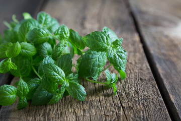 Fresh mint leaves