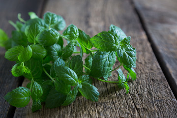 Fresh mint leaves