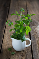 Fresh mint leaves © Ruslan Mitin