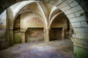 F, Burgund, Zisterzienserabtei Fontenay, Gewölbekeller