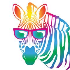 cool Zebra © Li-Bro