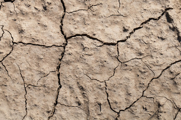 Textura de tierra seca