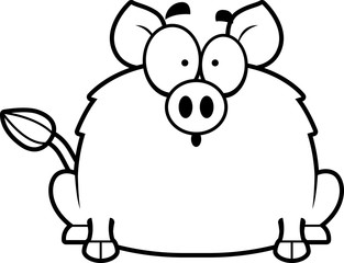 Surprised Little Boar