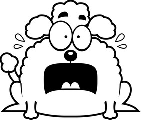 Terrified Little Poodle