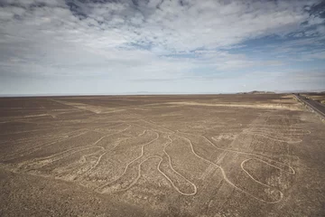 Foto op Plexiglas Boom (Arbol) lijnen in de Nazca-woestijn, Peru. © skinfaxi