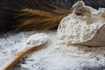 Fototapeta na wymiar wheat flour in burlap bag, wooden spoon and ears of wheat, selective focus