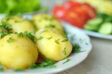 Fresh organic vegetables and boiled new potatoes on the plates