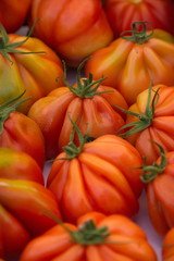 pomodori cuore di bue