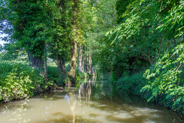 Beuatiful river landscape, river Spree in Germany