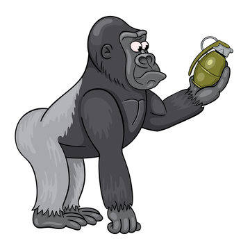 Cartoon male of gorilla  in perplexity is looking at the grenade in his hand. Funny cartoon character