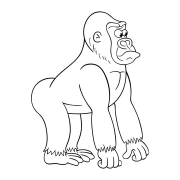 Black and white ilustration of cartoon gorilla male with baffled face expression