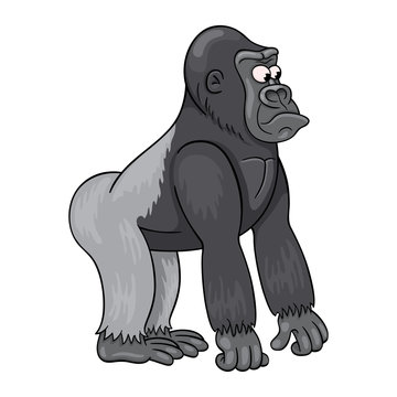 Cartoon male of gorilla with baffled face expression