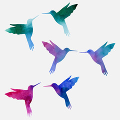 Hummingbird watercolor