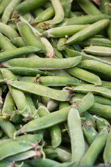 piselli freschi