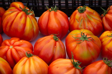 Pomodori cuore di bue