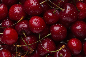 Fresh cherries close-up...