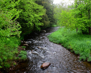 Adirondack Mountain stream in lush spring colors
