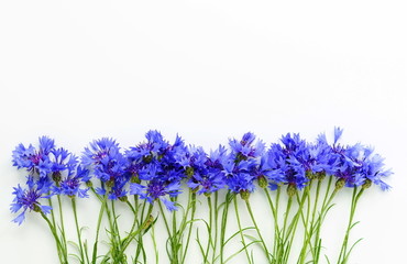 Bouquet bue flowers cornflowers on white background. top view. copy space