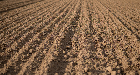 plowed empty field