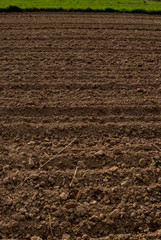 plowed empty field