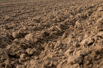 plowed empty field