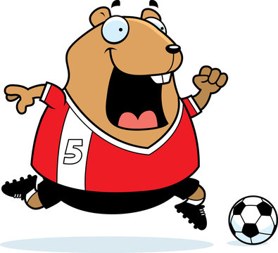 Cartoon Hamster Soccer