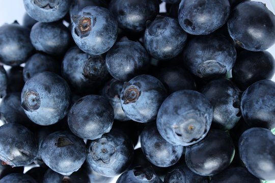 une portion de myrtille d&eacute;licieuse et plein de vitamines sur fond blanc