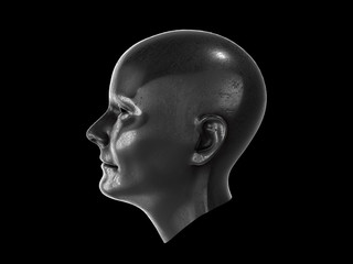 metal human head.3D RENDERING