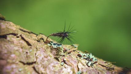 Fly fishing flies. Tenkara, kebari.