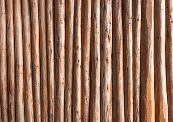 Eucalyptus wood background or wood texture