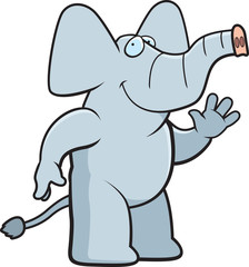 Elephant Waving
