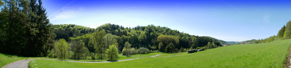 Fototapeta na wymiar Panorama Waldweg