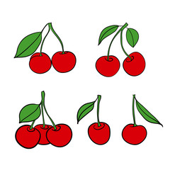Cherry. Isolated berries on white background. Vector drawing.