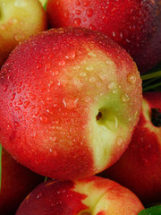 Close-up of a ripe juicy nectarine with water drops