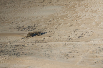 Ancient horse wagon in the Namib desert