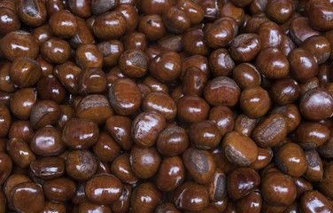 Chestnut color bright