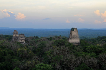 The mayan ruins Tikal Guatemala, Central America
