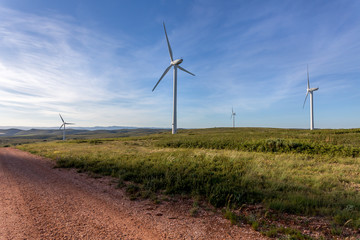 un chemin de terre au bord d'un pr&eacute; vert sauvage sur lequel sont r&eacute;parties des &eacute;oliennes 