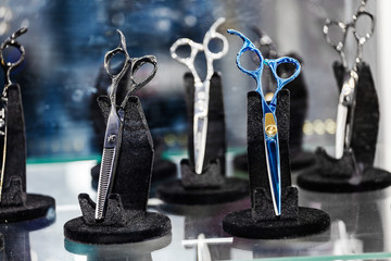 Obraz na płótnie Canvas Professional expensive hairdressing scissors in the shop window showcase