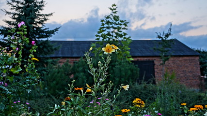 Polen Garten