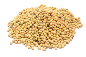 dry soybean isolated on white background